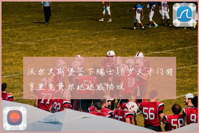 沃尔夫斯堡签下瑞士16岁天才门将亨里克费尔达达成协议